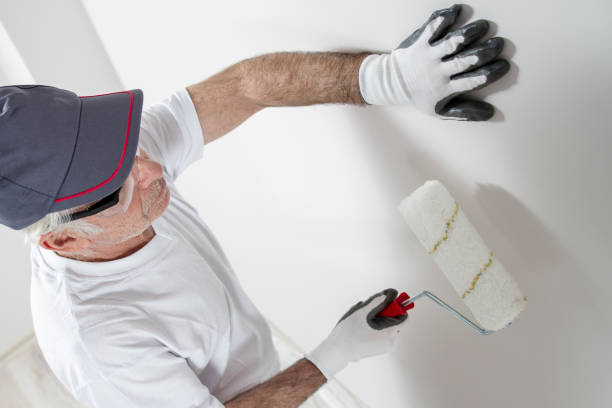 Best Mold Remediation for Healthcare Facilities  in Mankato, MN