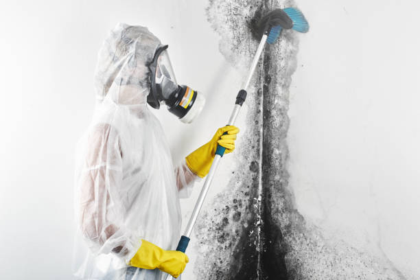 Best Post-Remediation Verification Testing  in Mankato, MN