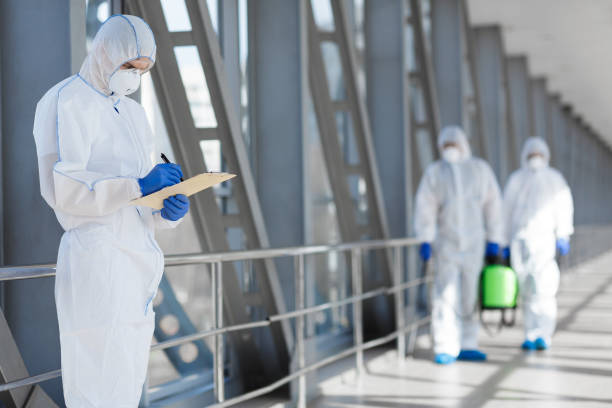 Mold Removal for HVAC Installations in Mankato, MN