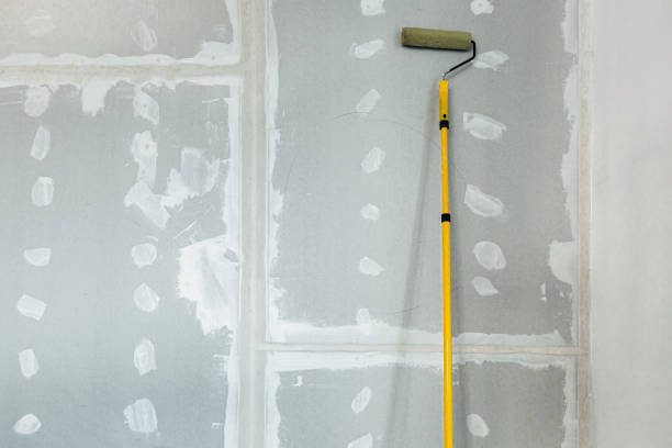 Best Post-Construction Mold Inspection  in Mankato, MN