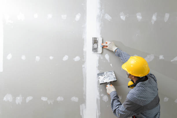 Best Mold Removal for HVAC Installations  in Mankato, MN
