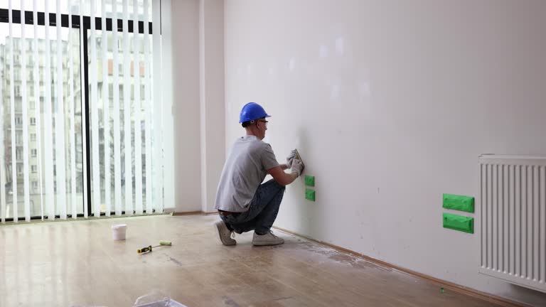Best Mold Documentation for Insurance Claims  in Mankato, MN