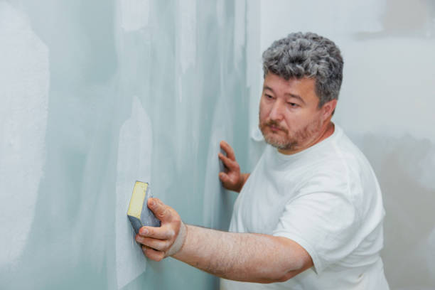 Best Dehumidification Services  in Mankato, MN
