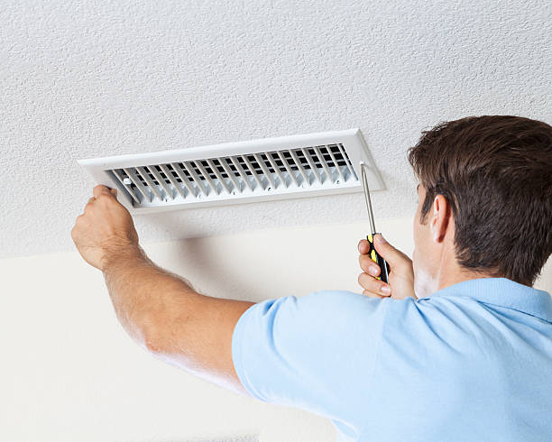 Trusted Mankato, MN Mold Removal Experts