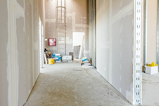 Best Water Damage & Mold Remediation  in Mankato, MN