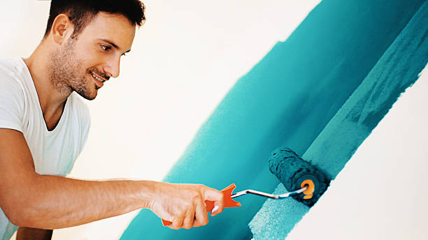 Best Environmental Consulting for Mold Prevention  in Mankato, MN